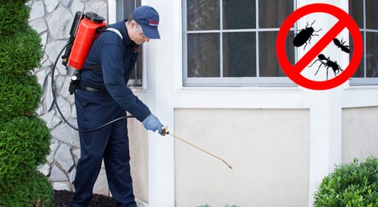 Evka 3 Sivrisinek İlaçlama böcek ilaçlama ve haşere kontrolü — ilaclama-tr.com